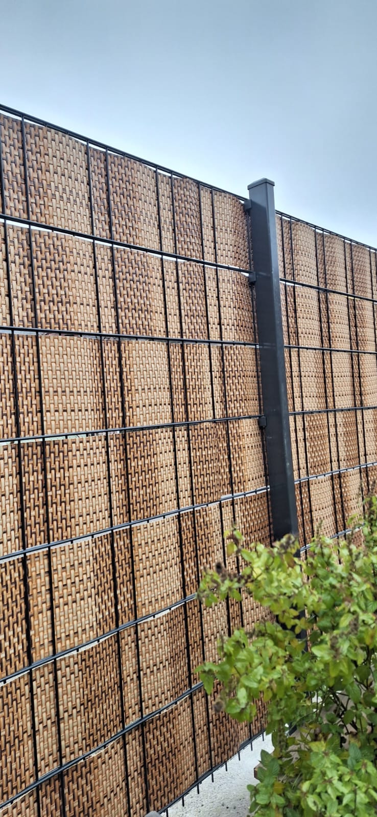 Hochwertige Sichtschutzlösung – Doppelstabmattenzaun mit Rattan-Schilf