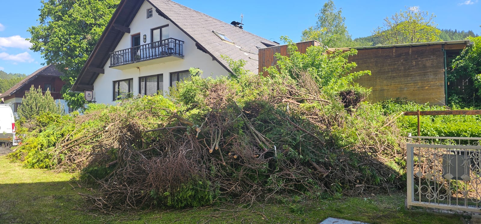 Heckenentfernung Image